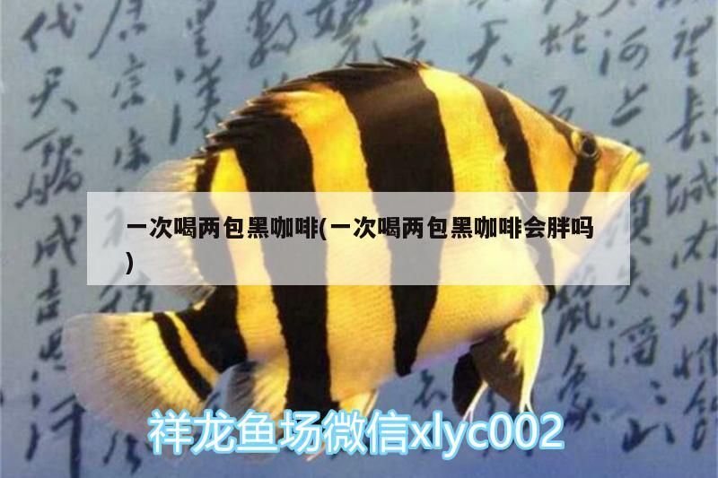 魚缸過濾器選購指南:自制魚缸過濾器魚缸上置過濾器對于養魚愛好者的必備知識 一次喝兩包黑咖啡(一次喝兩包黑咖啡會胖嗎) 馬來西亞咖啡 一次喝兩包黑咖啡(一次喝兩包黑咖啡會胖嗎) 一次喝兩包黑咖啡(一次喝兩包黑咖啡會胖嗎) 馬來西亞咖啡