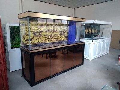 彩蝶魚缸和博特魚缸對比哪個好：彩蝶魚缸和博特魚缸哪個好