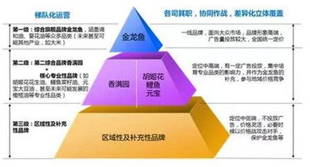 金龍魚(yú)全產(chǎn)業(yè)鏈協(xié)同效果：康的重視日益增加金龍魚(yú)將繼續(xù)深化全產(chǎn)業(yè)鏈整合