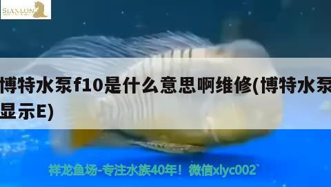 博特水泵f10是什么意思啊維修(博特水泵顯示E)