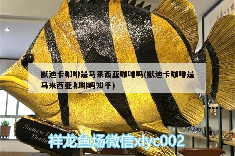 默迪卡咖啡是馬來西亞咖啡嗎(默迪卡咖啡是馬來西亞咖啡嗎知乎)