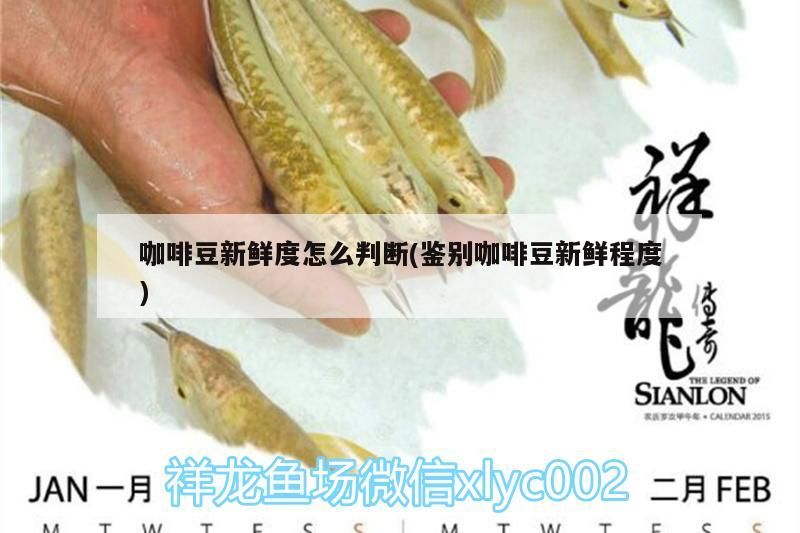 咖啡豆新鮮度怎么判斷(鑒別咖啡豆新鮮程度) 咖啡豆新鮮度怎么判斷(鑒別咖啡豆新鮮程度) 馬來西亞咖啡