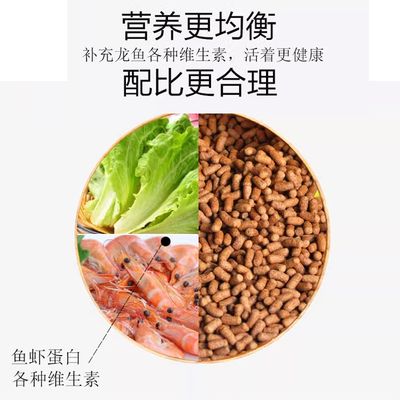 免費加盟養殖項目，機遇與風險并存，如何明智選擇？免費加盟養殖項目的機遇與風險解析，如何做出明智選擇？