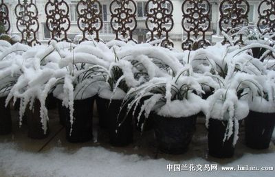 米缸擺放風水指南，家中財庫位置有講究，放對地方招財納福，米缸擺放風水指南，財庫位置決定財運，正確擺放招財納福