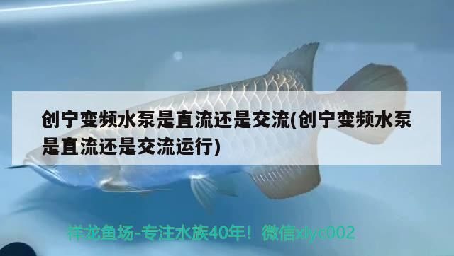 創寧變頻水泵是直流還是交流(創寧變頻水泵是直流還是交流運行)