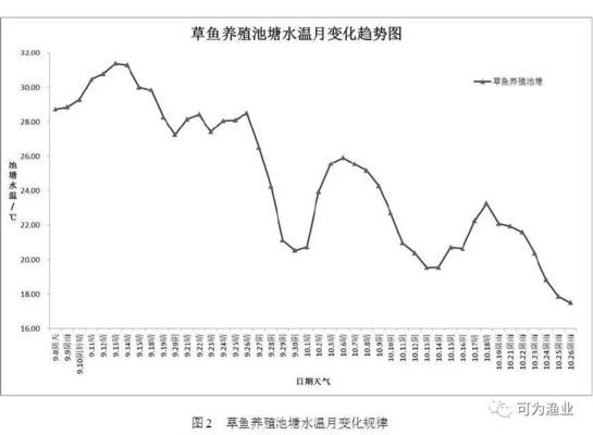 迷你鸚鵡魚產卵后不讓公魚靠近，原因與應對策略，迷你鸚鵡魚產卵后驅趕公魚的成因及解決措施 迷你鸚鵡魚產卵后不讓公魚靠近，原因與應對策略，迷你鸚鵡魚產卵后驅趕公魚的成因及解決措施 龍魚百科 第2張
