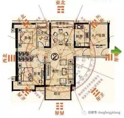 夢境奇譚，水中游弋的龍魚之謎，龍魚幻夢，水中秘境的神秘游弋