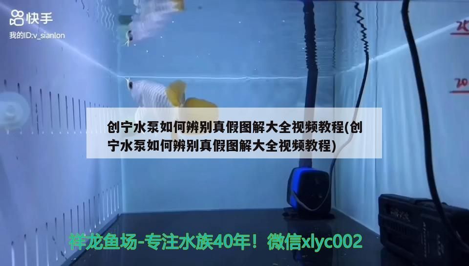 創寧水泵如何辨別真假圖解大全視頻教程(創寧水泵如何辨別真假圖解大全視頻教程) 創寧水族 第1張 創寧水泵如何辨別真假圖解大全視頻教程(創寧水泵如何辨別真假圖解大全視頻教程) 創寧水泵如何辨別真假圖解大全視頻教程(創寧水泵如何辨別真假圖解大全視頻教程) 創寧水族 第1張