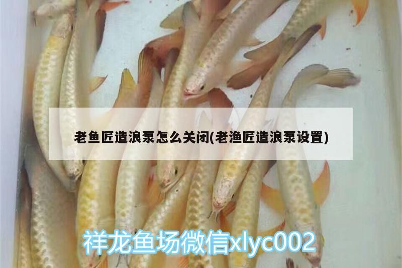 老魚(yú)匠造浪泵怎么關(guān)閉(老漁匠造浪泵設(shè)置)