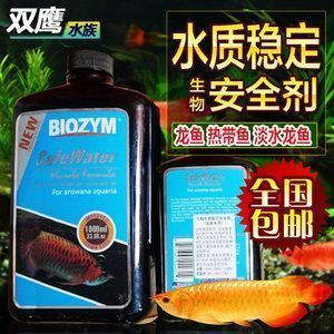 梅開五福魚最忌三種魚，風水寓意與養殖禁忌解析，梅開五福魚的風水禁忌，三種不宜混養的魚及養殖注意事項