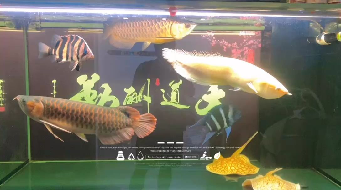來日并不方長/當下所有/即是最好