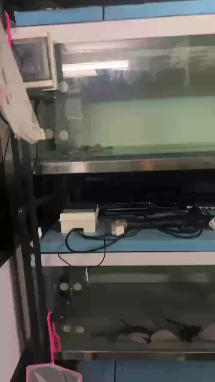 #愛好讓我很開心（結束忙碌的一天） #愛好讓我很開心（結束忙碌的一天） 龍魚論壇