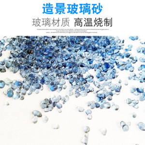 曼龍魚大肚子怎么看公母，詳細(xì)辨別方法與飼養(yǎng)建議，曼龍魚公母辨別技巧及飼養(yǎng)指南，從大肚子特征到科學(xué)喂養(yǎng)