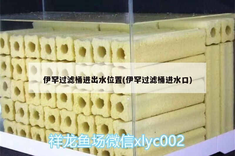 伊罕過濾桶進出水位置(伊罕過濾桶進水口) 伊罕過濾桶進出水位置(伊罕過濾桶進水口) 伊罕水族