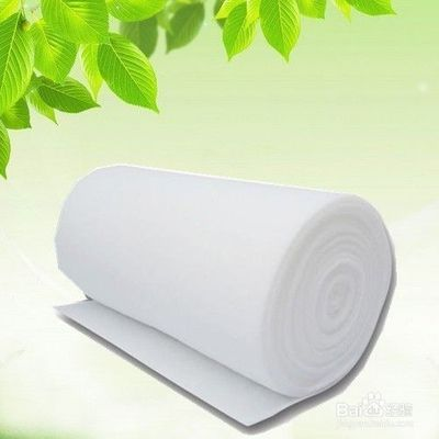 曼龍可以和紅綠燈一起養(yǎng)嗎？混養(yǎng)指南與注意事項(xiàng)，曼龍魚與紅綠燈魚混養(yǎng)指南及注意事項(xiàng)