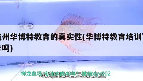 杭州華博特教育的真實性(華博特教育培訓可靠嗎)