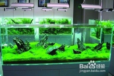 附近賣魚缸的地方在哪里有啊(附近哪里有賣魚缸的沒有) 附近賣魚缸的地方在哪里有啊(附近哪里有賣魚缸的沒有) iwish愛唯希品牌魚缸