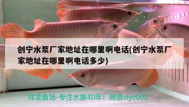 創寧水泵廠家地址在哪里啊電話(創寧水泵廠家地址在哪里啊電話多少)
