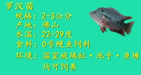 買魚送人最忌三個(gè)東西，送錯(cuò)小心得罪人！買魚送人三大禁忌，送錯(cuò)當(dāng)心惹人嫌！