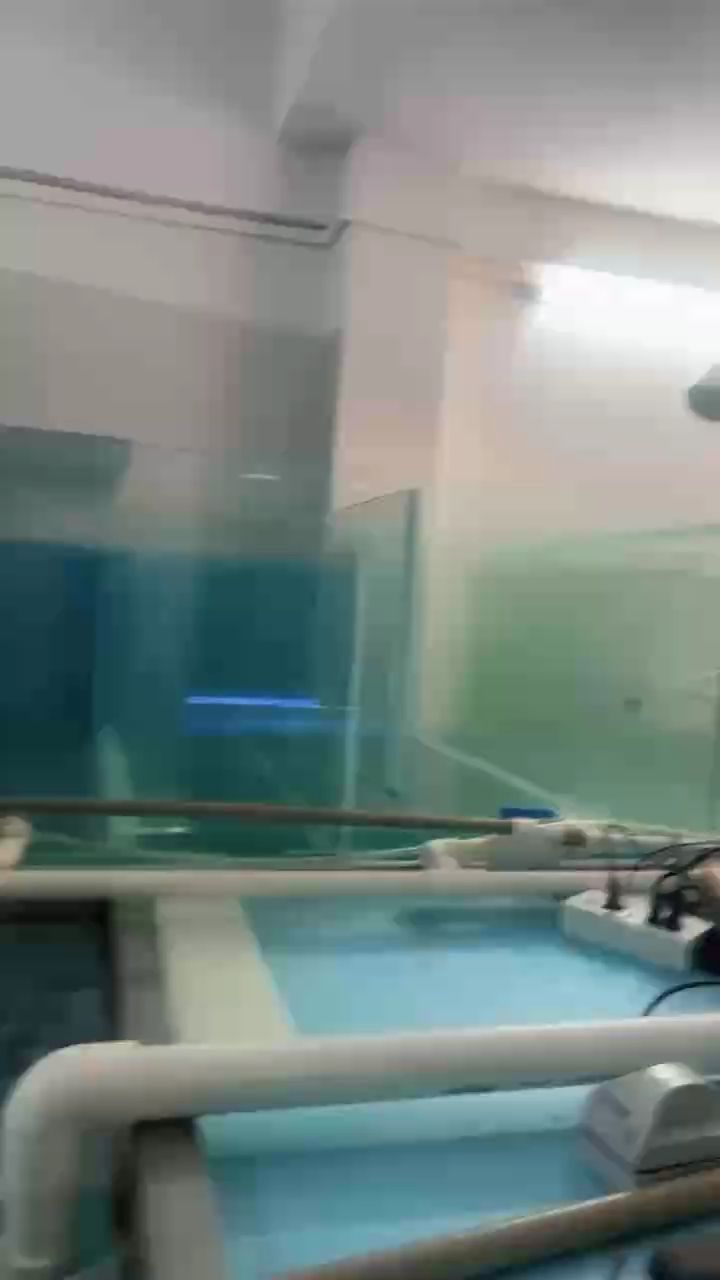 一個月洗一次 一個月洗一次 龍魚論壇
