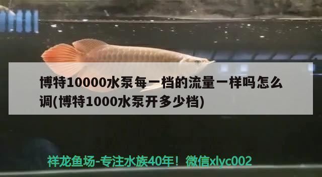博特10000水泵每一檔的流量一樣嗎怎么調(博特1000水泵開多少檔)