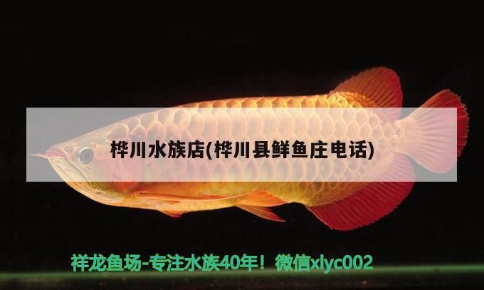 魚缸用增氧泵價格是多少:魚缸增氧機-xtrac增氧機-xtrac增氧機 樺川水族店(樺川縣鮮魚莊電話) iwish愛唯希品牌魚缸 樺川水族店(樺川縣鮮魚莊電話) 樺川水族店(樺川縣鮮魚莊電話) iwish愛唯希品牌魚缸