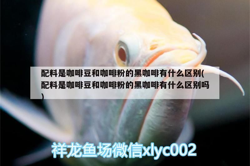 配料是咖啡豆和咖啡粉的黑咖啡有什么區別(配料是咖啡豆和咖啡粉的黑咖啡有什么區別嗎)