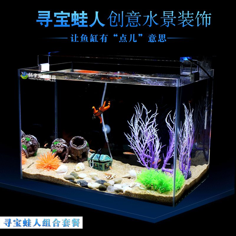 20的魚缸造景：20升魚缸造景基本步驟和注意事項和注意事項