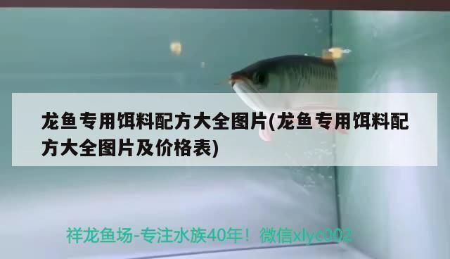 龍魚食物飼料配方大全vs祥龍魚場:龍魚食物飼料配方大全 vs祥龍魚場 第4張 龍魚食物飼料配方大全vs祥龍魚場:龍魚食物飼料配方大全 龍魚食物飼料配方大全vs祥龍魚場:龍魚食物飼料配方大全 vs祥龍魚場 第4張
