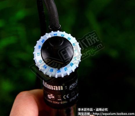 創星加熱棒需要把上面露在外面嗎：創星加熱棒使用心得