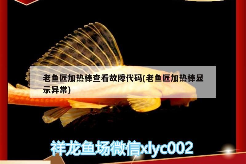 老魚(yú)匠加熱棒查看故障代碼(老魚(yú)匠加熱棒顯示異常)