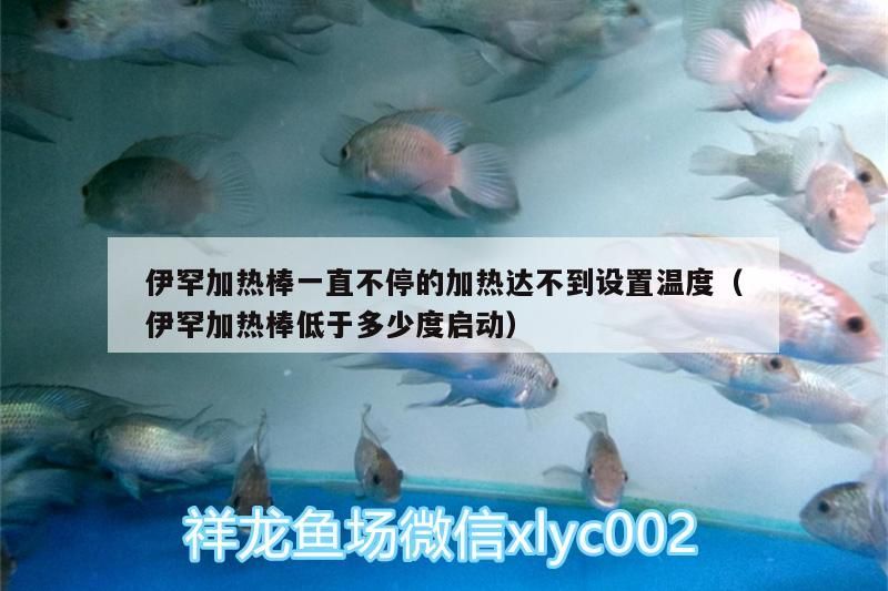 伊罕加熱棒一直不停的加熱達不到設(shè)置溫度（伊罕加熱棒低于多少度啟動）