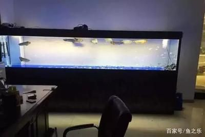35寬魚缸養金龍