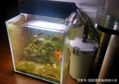 過濾桶濾材放置（過濾桶材質(zhì)解析）