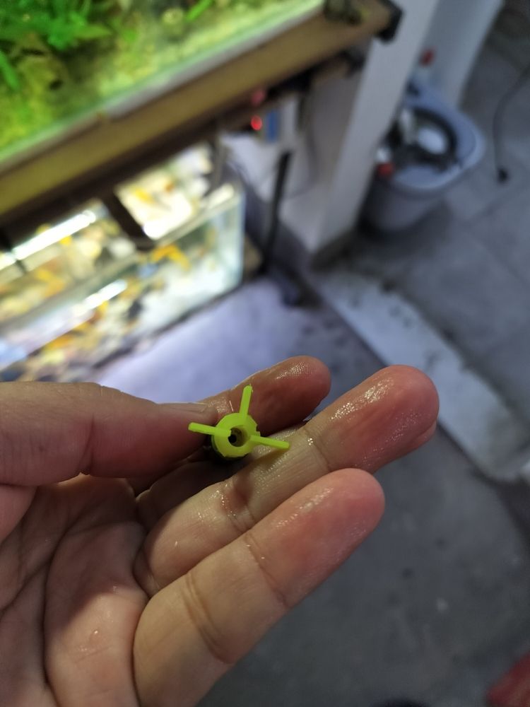 這玩意壞了 這玩意壞了 龍魚論壇 第1張