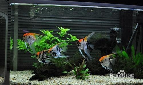 伊罕過濾桶有噪音原因有哪些（伊罕過濾桶有噪音原因有哪些呢）