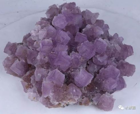 德國安彩魚缸過濾器價格（德國安彩魚缸過濾器價格多少）
