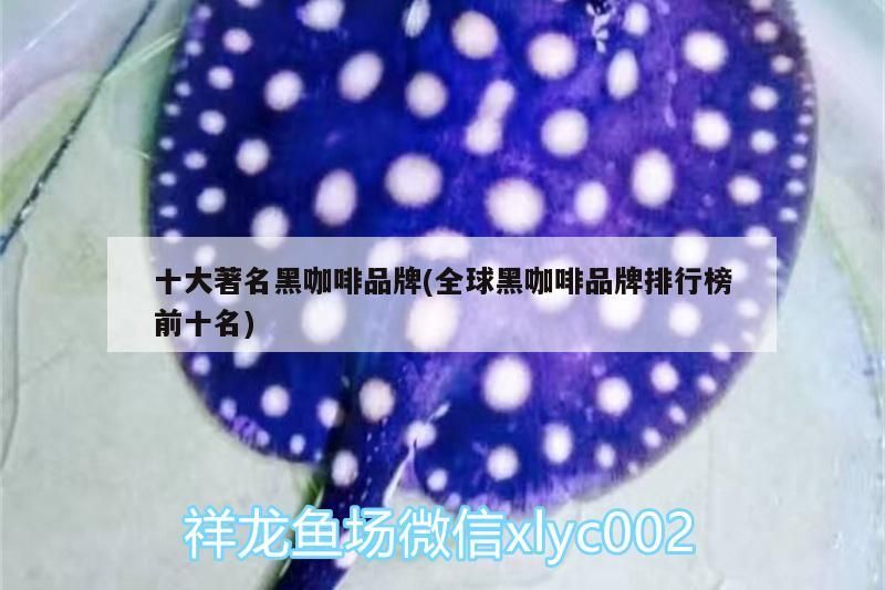 十大著名黑咖啡品牌(全球黑咖啡品牌排行榜前十名)