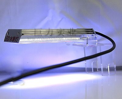 80厘米的魚缸用多大的燈：80厘米的魚缸可以使用多種類型的燈 80厘米的魚缸用多大的燈：80厘米的魚缸可以使用多種類型的燈 魚缸百科 第3張