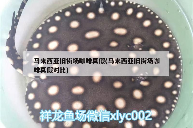 馬來西亞舊街場(chǎng)咖啡真假(馬來西亞舊街場(chǎng)咖啡真假對(duì)比)