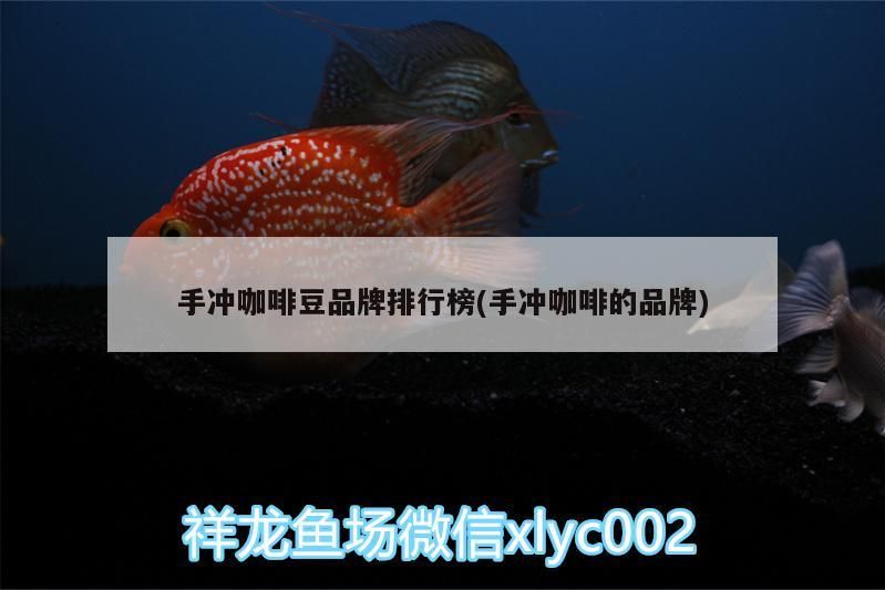 手沖咖啡豆品牌排行榜(手沖咖啡的品牌)