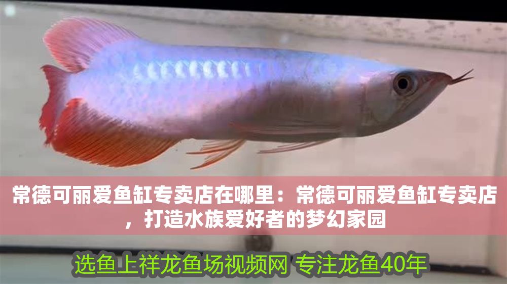 常德可麗愛魚缸專賣店在哪里：常德可麗愛魚缸專賣店，打造水族愛好者的夢幻家園