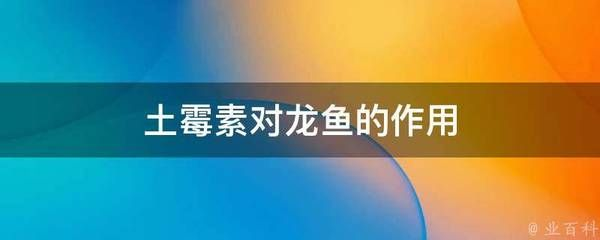 龍魚可以用土霉素嗎vs祥龍魚場：土霉素對龍魚的影響