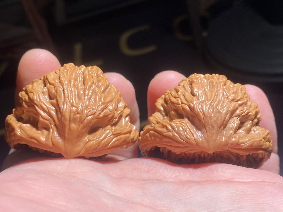 麥穗虎頭出品，聚寶盆