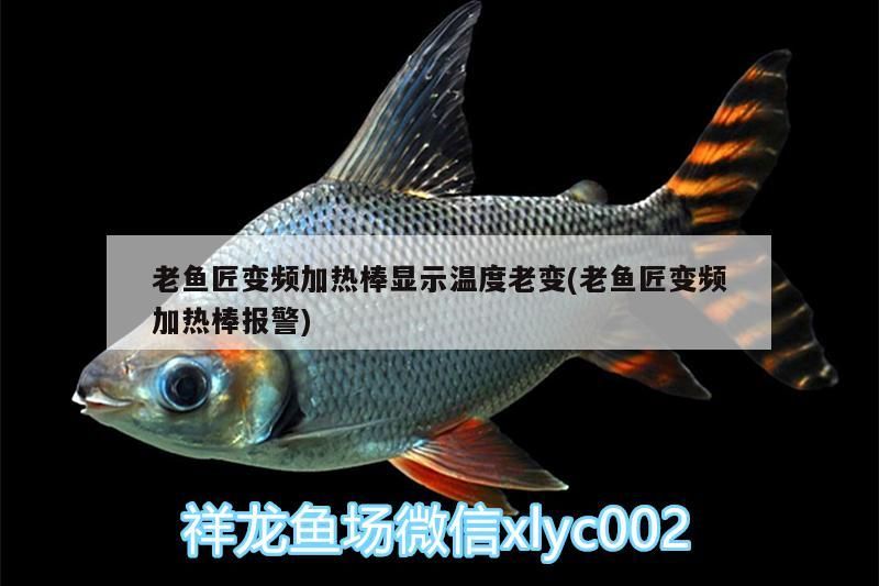 老魚匠變頻加熱棒顯示溫度老變(老魚匠變頻加熱棒報警)