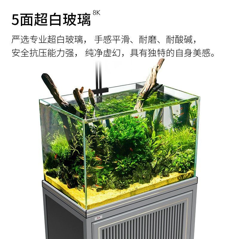 50魚缸的最佳尺寸：50魚缸的最佳尺寸取決于你的具體需求和條件