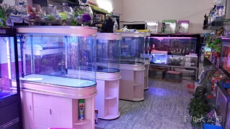 森森水族館旗艦店怎么樣