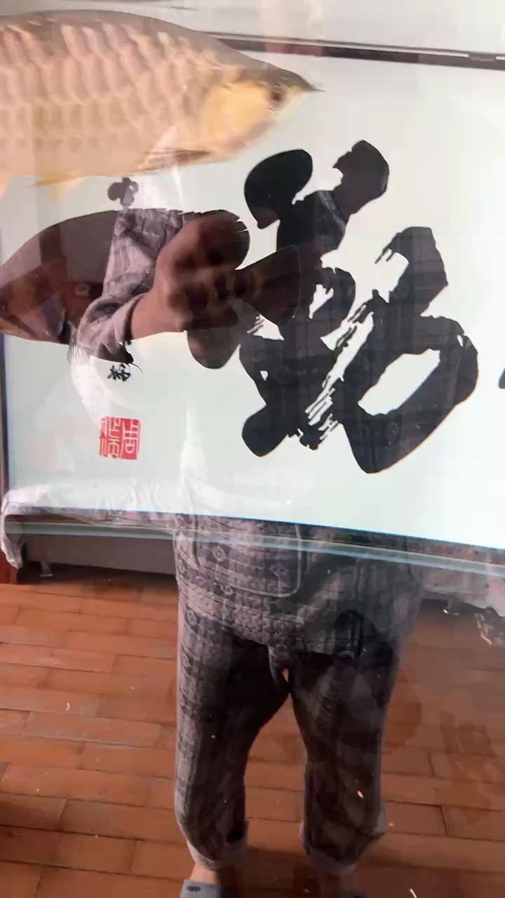 我的小龍19個月啦