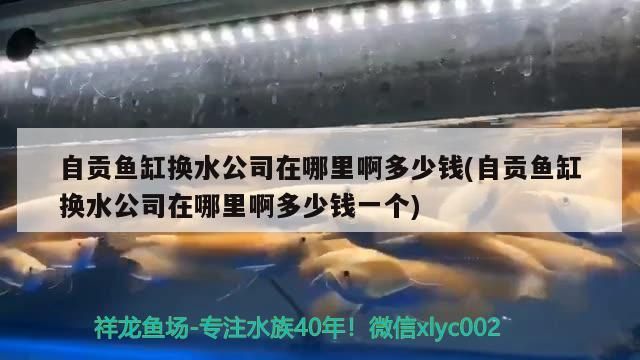 自貢魚缸換水公司在哪里啊多少錢(自貢魚缸換水公司在哪里啊多少錢一個) 自貢魚缸換水公司在哪里啊多少錢(自貢魚缸換水公司在哪里啊多少錢一個) iwish愛唯希品牌魚缸