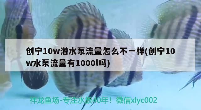 創寧10w潛水泵流量怎么不一樣(創寧10w水泵流量有1000l嗎)